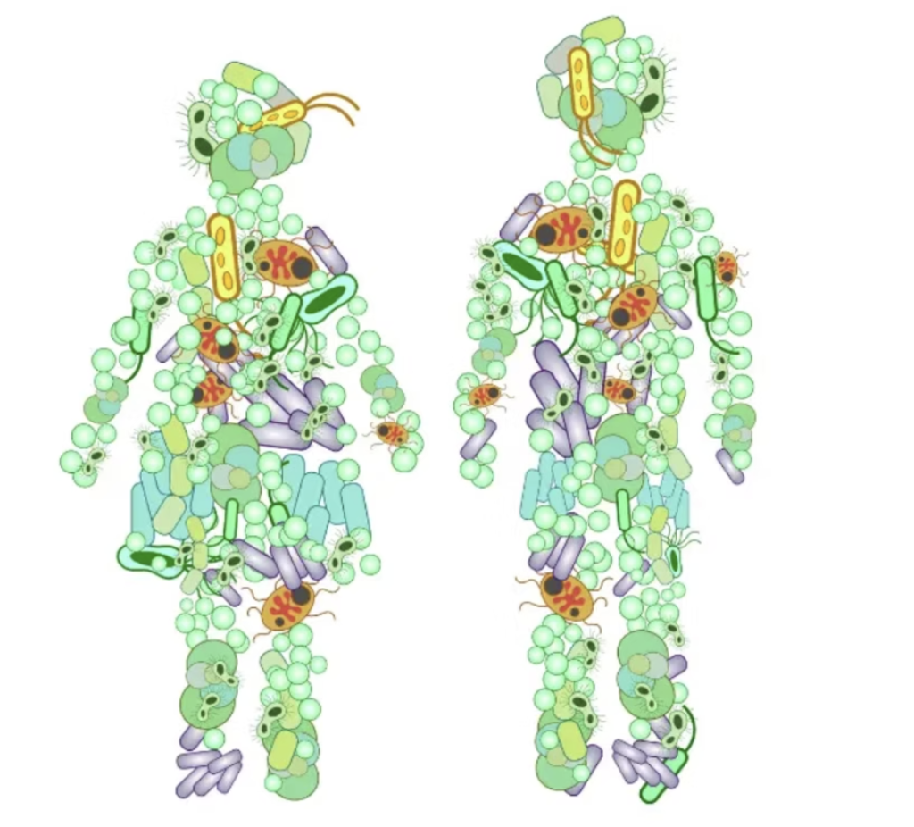 Silent tenants in your body ekran resmi 2026 07 21 16.14.11